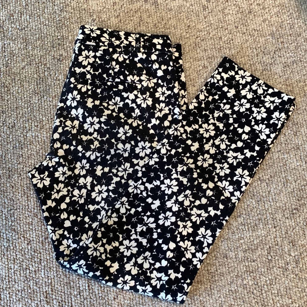 Banana Republic Sloan Pants (Sz 2)